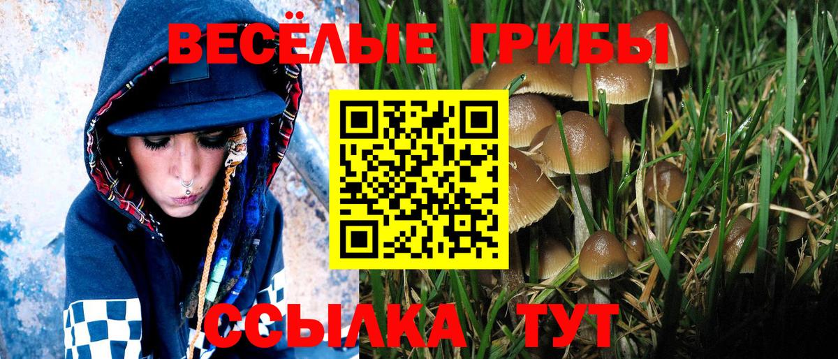 Галлюциногенные грибы мицелий Кемерово